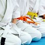 Image result for Belts for Karate