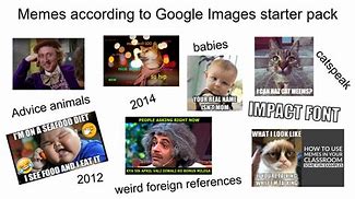 Image result for Babcia Knows More than Google Meme