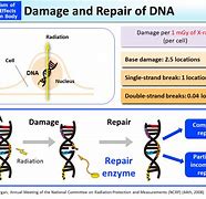 Image result for Fix My DNA Please