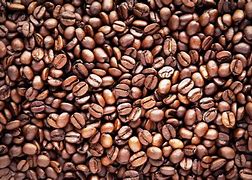 Image result for All Types of Coffee Beans