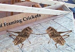 Image result for Cricket Drain