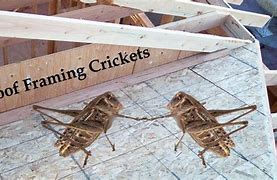 Image result for Roof Cricket Drainage