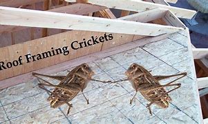 Image result for Plywood Cricket Roof