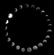 Image result for Dark Moon Wellpepare