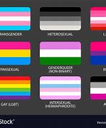 Image result for 13 LGBTQ Flags