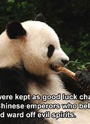 Image result for Weird Facts About China