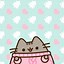 Image result for Pusheen Phone