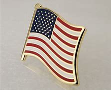 Image result for American Flag USA Pin