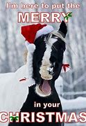 Image result for Merry Christmas Horse Memes