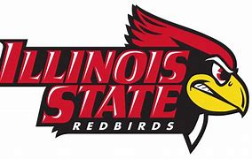 Image result for Illinois State ID Card