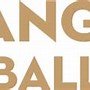 Image result for Lafc PNG