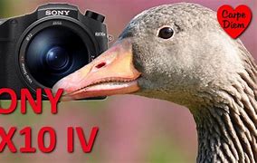 Image result for Sony RX10 IV Macro Photo