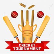 Image result for Wicket Cricket Background