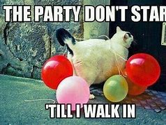 Image result for Party Meme