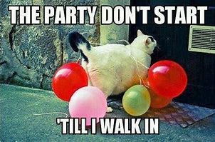 Image result for Cat Welcome Meme Party