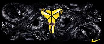 Image result for Nike Kobe Logo