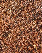 Image result for Tree Pulp