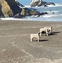 Image result for Tennessee Valley Road, Sausalito, CA  United States