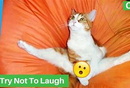 Image result for Funny Memes to Draw 2019