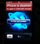 Image result for iPhone 14 Plus Coarl Case