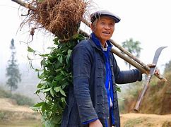 Image result for Chinese Farmer