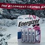Image result for Energizer Bunny Real