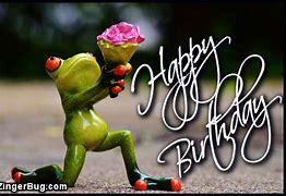 Image result for Happy Birthday Frog Meme