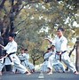 Image result for Martial Arts Stances