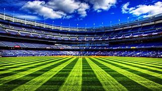 Image result for Zoom Background Sitting in a Stadium