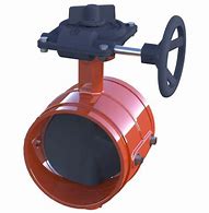 Image result for Grooved End Butterfly Valve