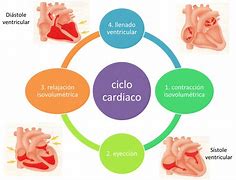 Image result for cardiaco