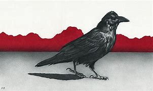 Image result for Raven Adair