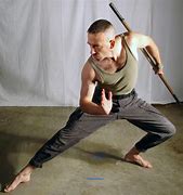 Image result for Martial Arts Staff Poses