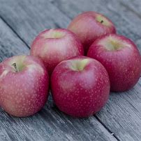 Image result for Organic Pink Lady Apple