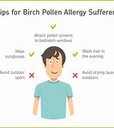 Image result for Birch Allergy