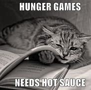 Image result for Hunger Games Cat Memes