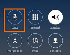 Image result for Mute Button On iPhone Phone Call