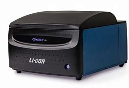 Image result for Li Cor Odyssey Imaging System