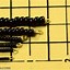 Image result for Japanese Seed Bead Size Chart