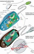 Image result for Computer Mouse Parts