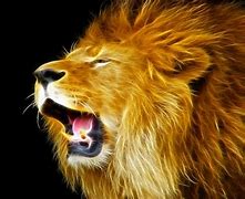 Image result for 1980X1080 Lion