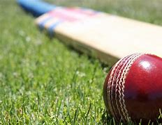 Image result for Cricket Paddle