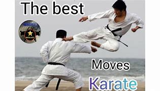 Image result for Advanced Karate Moves