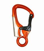 Image result for ASX Winch Carabiner Double Action