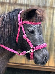 Image result for Horse Bridle Pink