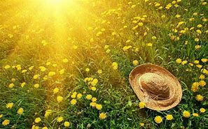 Image result for June Desktop Wallpaper Summer