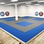 Image result for Martial Arts Mats