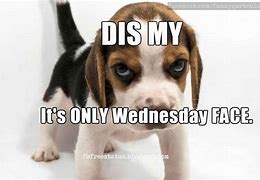 Image result for Happy Wednesday Dog Meme