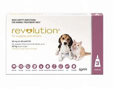 Image result for Revolution Flea Meds