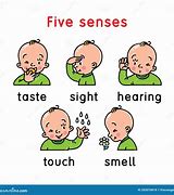 Image result for Boy 5 Senses